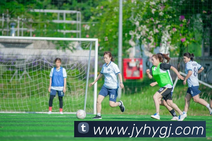 App Interface Preview